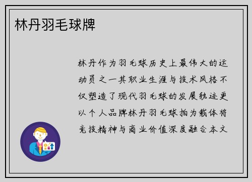 林丹羽毛球牌