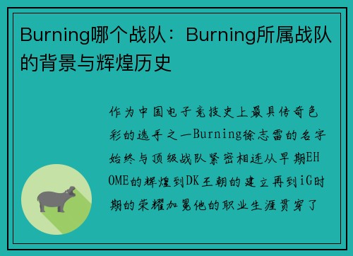 Burning哪个战队：Burning所属战队的背景与辉煌历史
