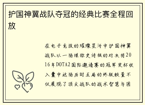 护国神翼战队夺冠的经典比赛全程回放
